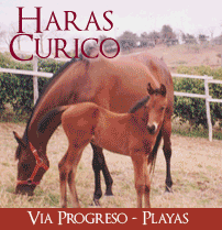 Haras Curicó